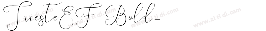 TriesteEF Bold字体转换